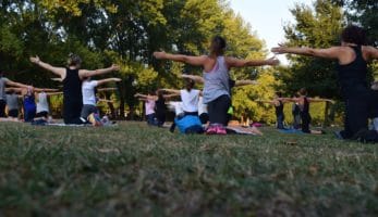 An image of a group of people performing exercise in the park.